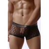 Paris Hollywood Boxer noir transparent