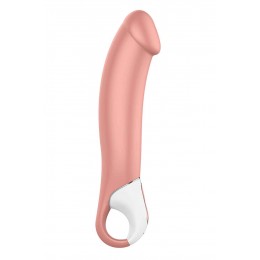 Satisfyer Vibromasseur Master - Satisfyer