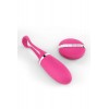 Dorcel Oeuf vibrant télécommandé Secret Delight