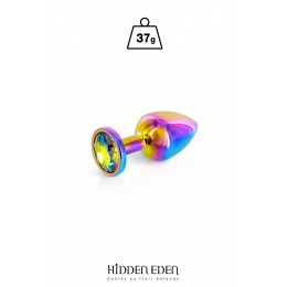 Hidden Eden Plug bijou aluminium Rainbow XS - Hidden Eden