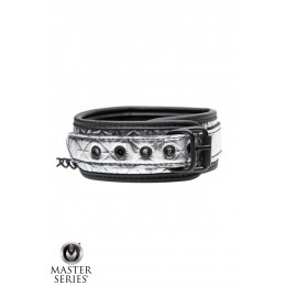 Master Series Collier argenté avec laisse - Master Series