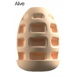 Alive Masturbateur Mini Shot Anal Experience